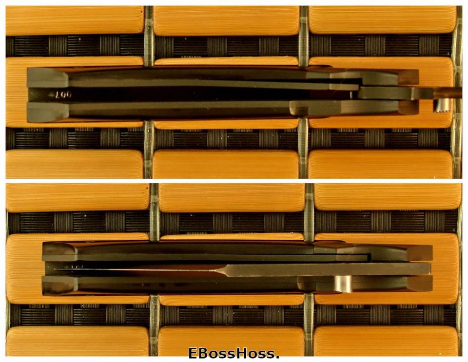 Reese Weiland Hornet (a little Wasp)