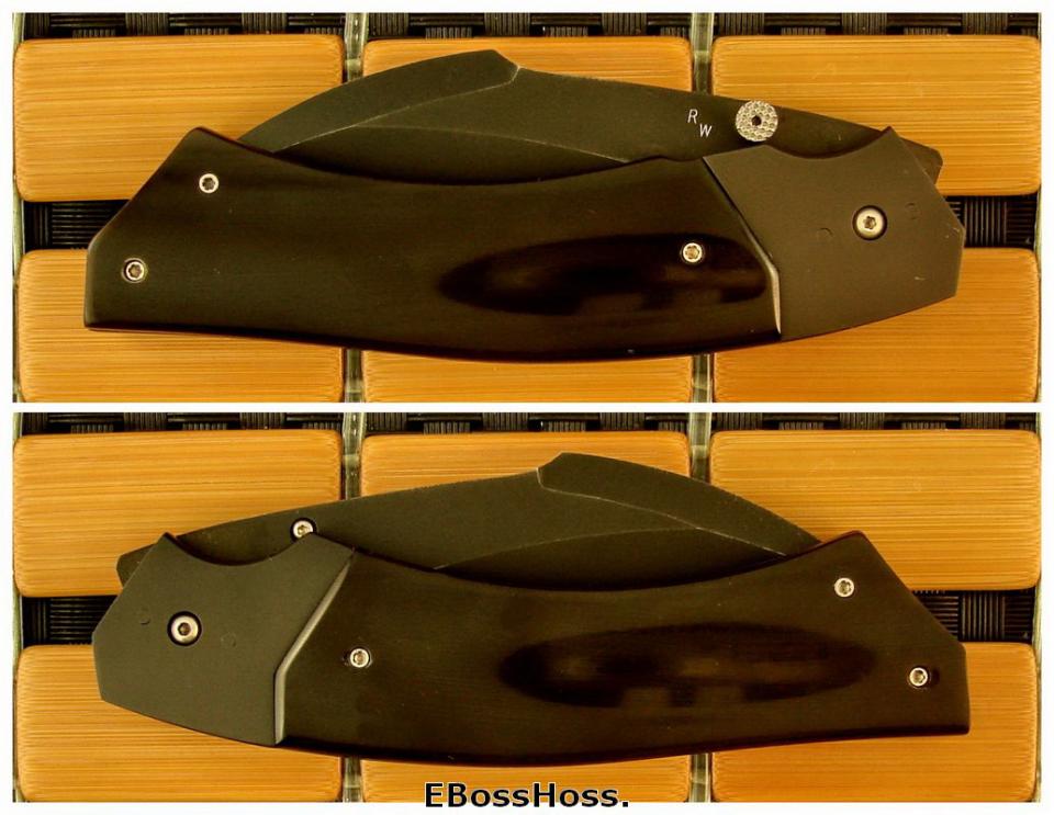 Reese Weiland Hornet (a little Wasp)