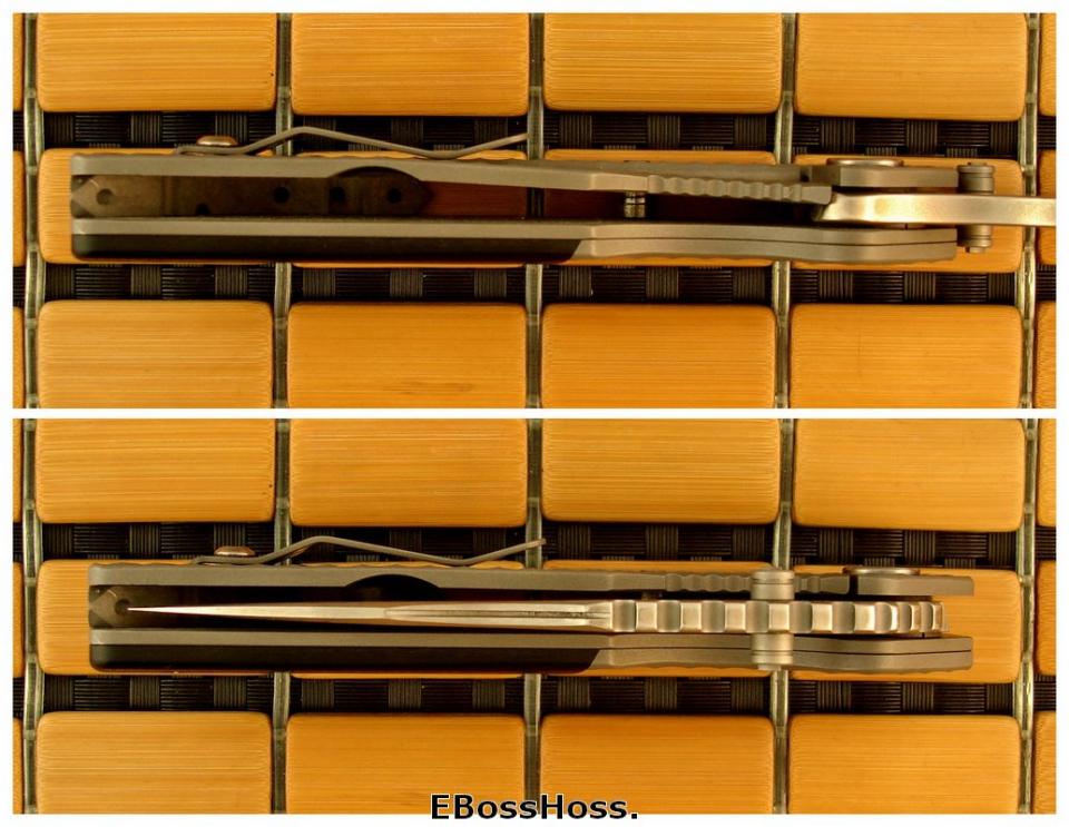 Strider Pimped AR w/Bolster