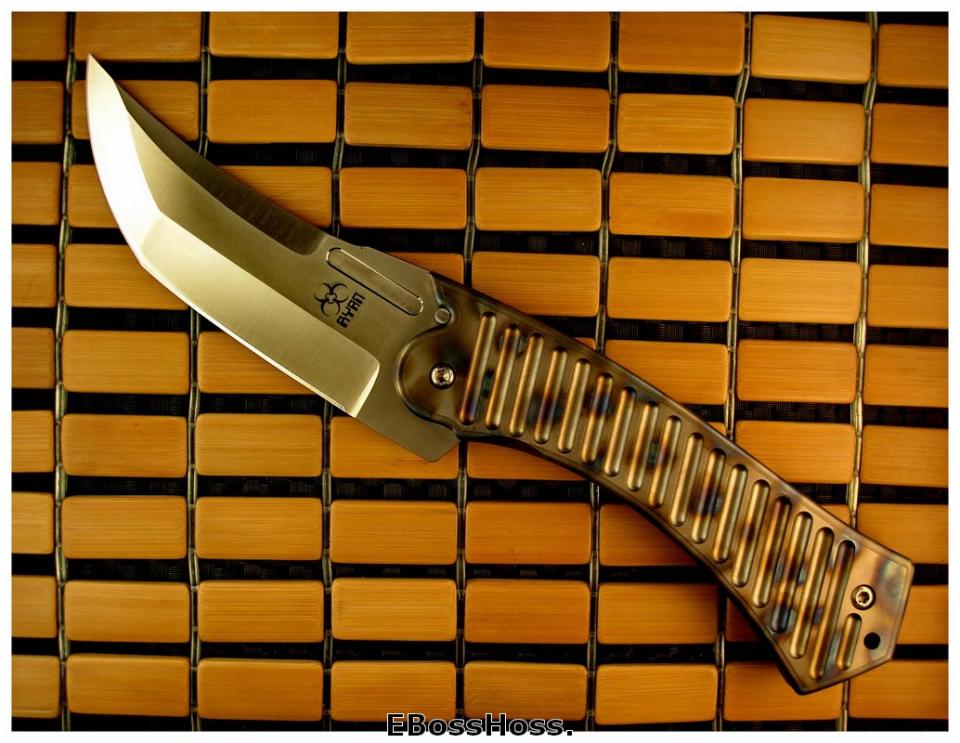 Steve Ryan Ryanosaurus