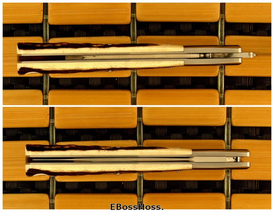 Jess Horn Large Stag PF