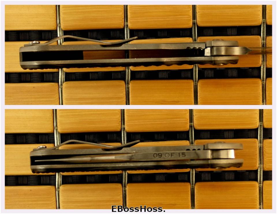 Michael Burch / Pirela Sauron