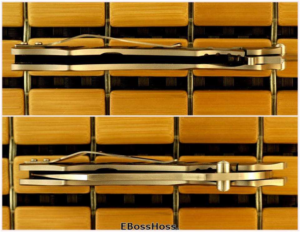 Mike Obenauf / Liong Mah Ignitor Flipper