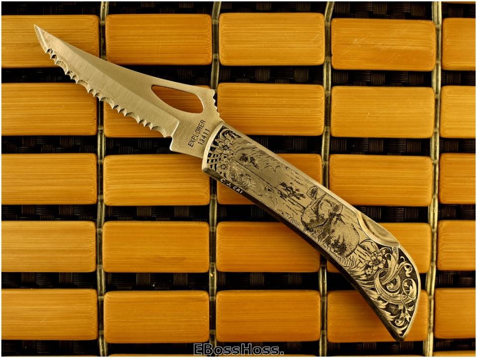 C.J. Cai "Rhino in the Wild..."