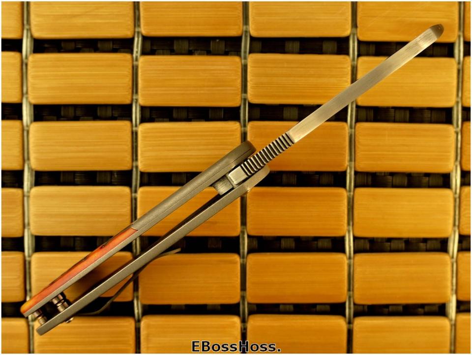 Michael Burch Deluxe Impetus Flipper Variant