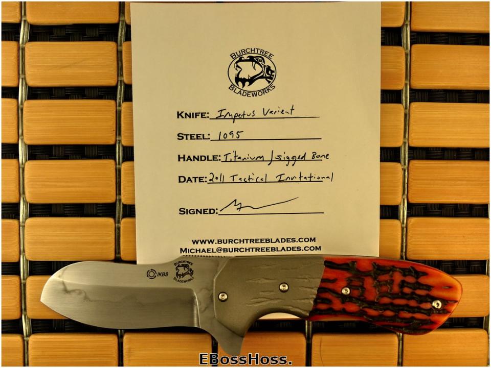 Michael Burch Deluxe Impetus Flipper Variant