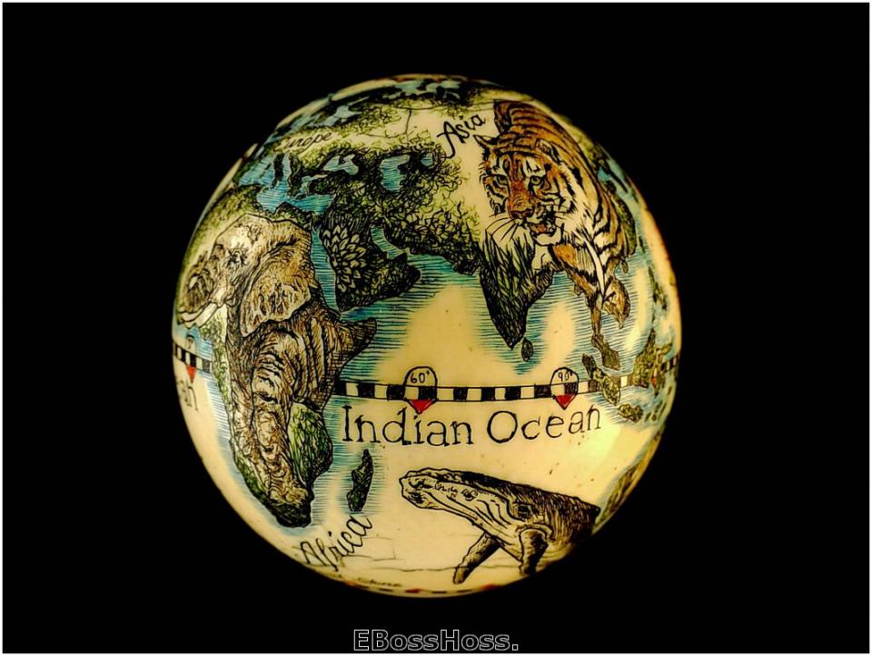 Linda Karst Stone's Endanged Species of the World