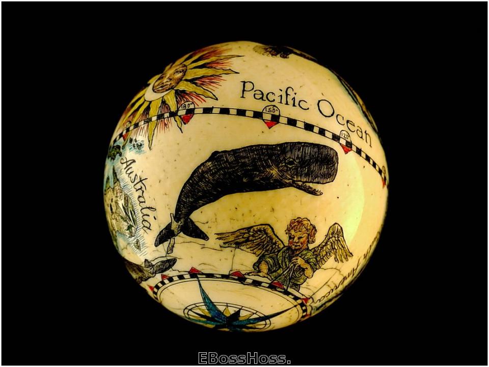 Linda Karst Stone's Endanged Species of the World