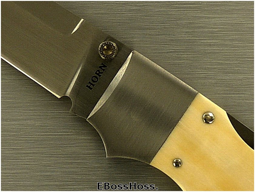 Jess Horn New York Special