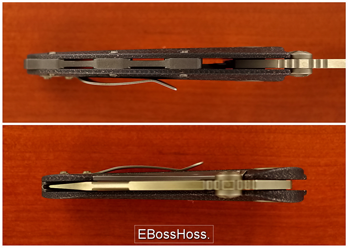 Tony Marfione Custom Whaleshark Flipper