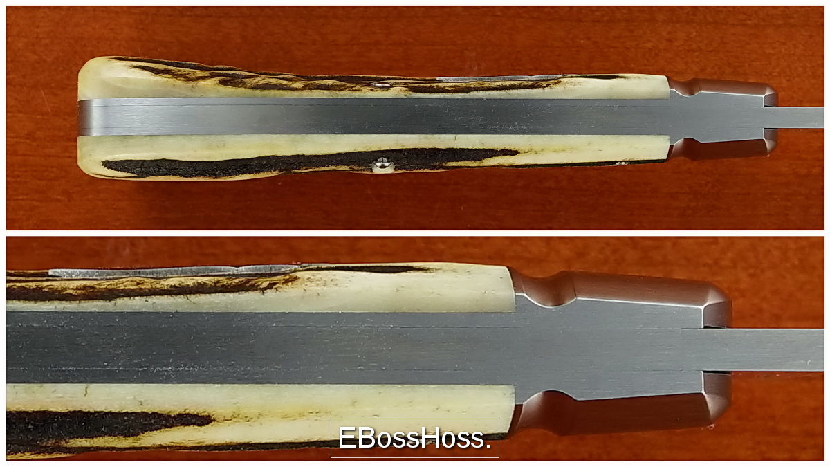 Reese Bose Stag Back Pocket