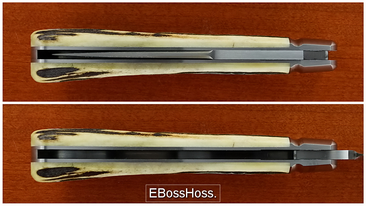 Reese Bose Stag Back Pocket