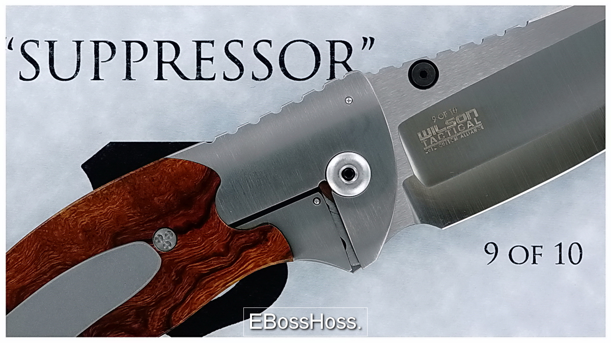 Allen Elishewitz / Wilson Tactical Suppressor