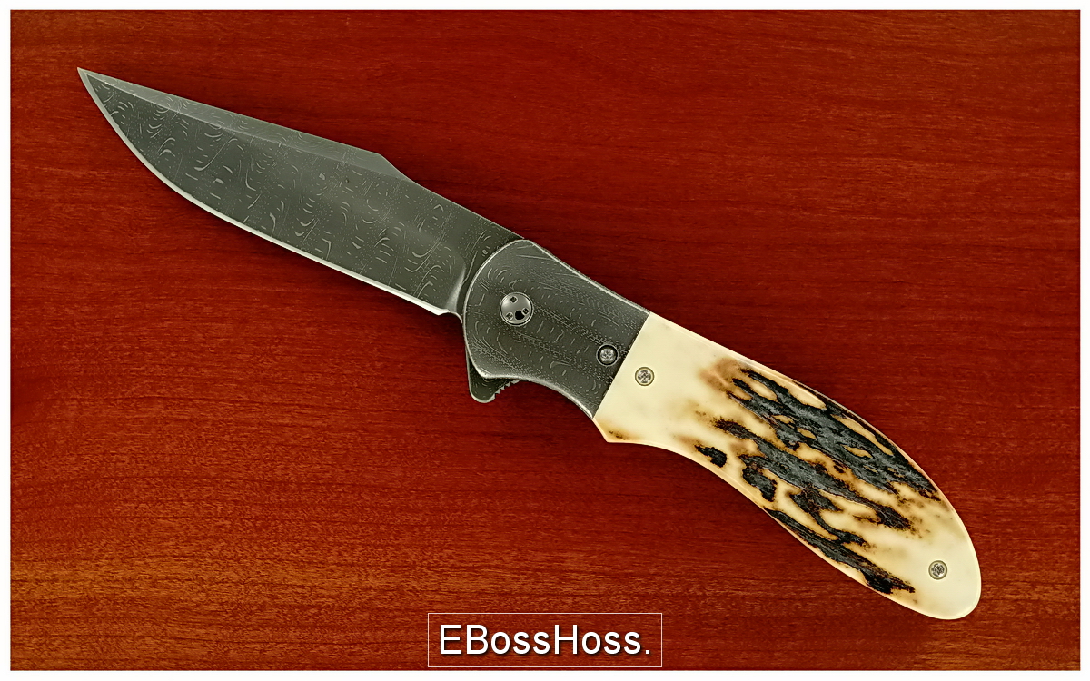 Phil Boguszewski Stag Cobra Sabertip