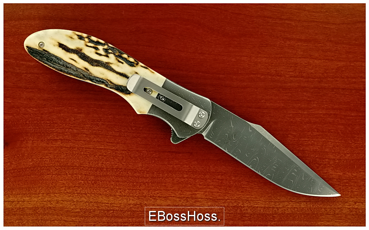 Phil Boguszewski Stag Cobra Sabertip