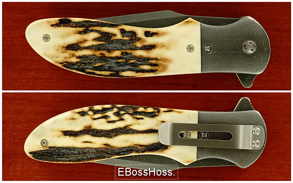 Phil Boguszewski Stag Cobra Sabertip