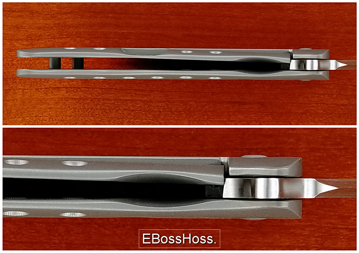 Tom Mayo Persian Flipper