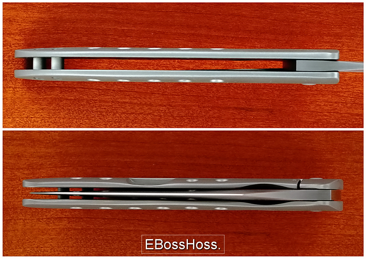 Tom Mayo Persian Flipper