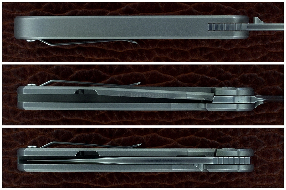 Michael Raymond Estrella Integral