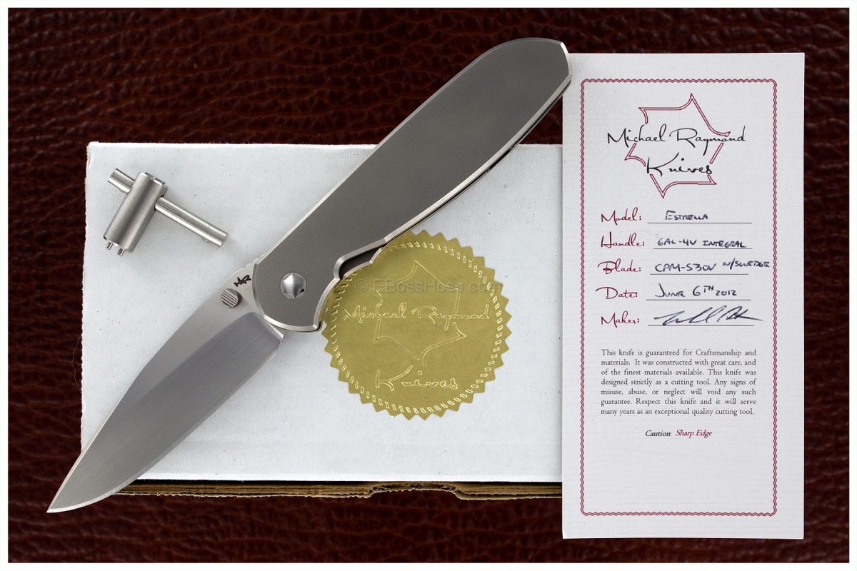 Michael Raymond Estrella Integral