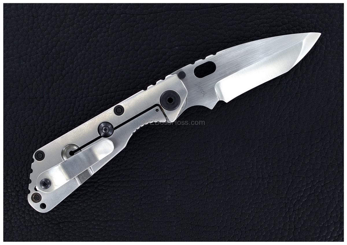 Duane Dwyer Custom ( Strider Knives ) SnG