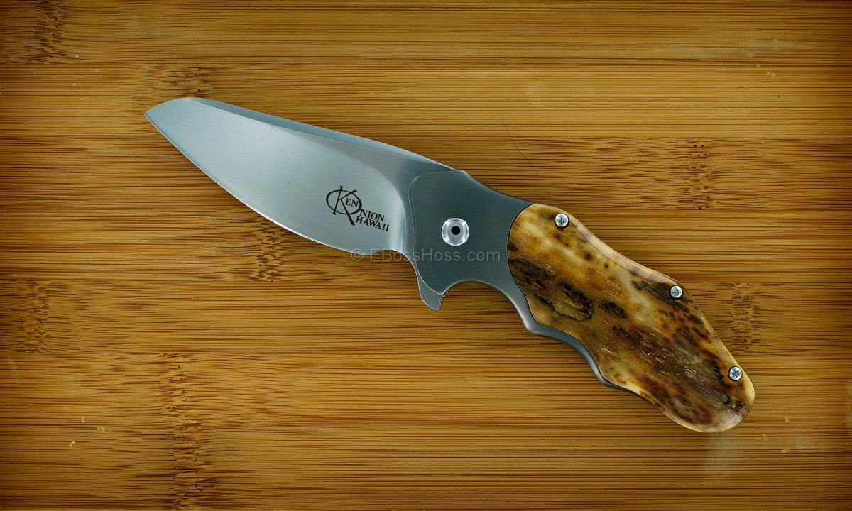 Ken Onion Custom Deluxe Wrinkle