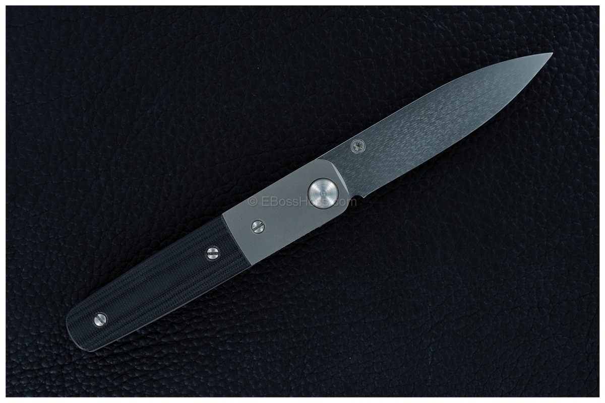 Ernie Emerson Custom MV-2 (aka Viper 2)