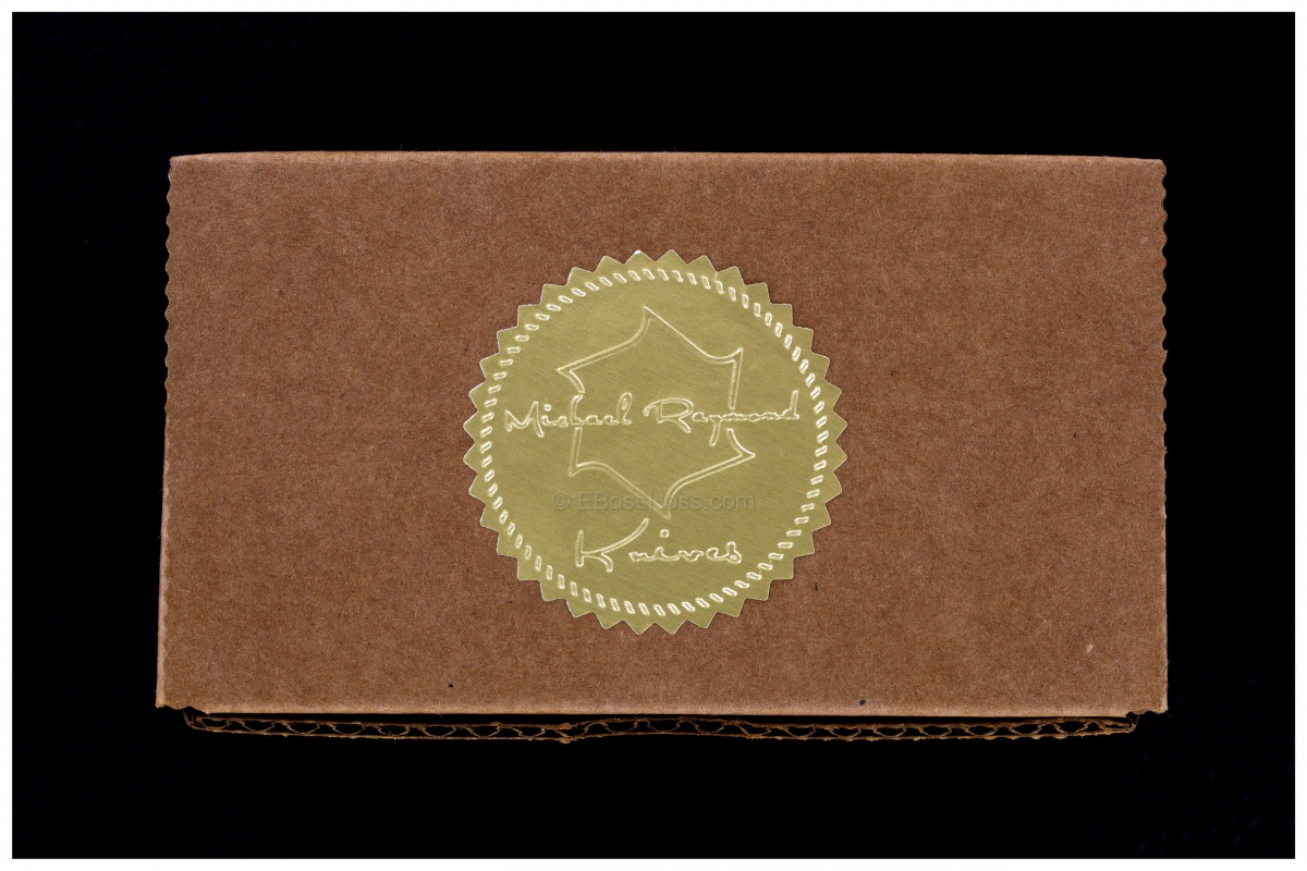 Michael Raymond Custom Deluxe Starlit