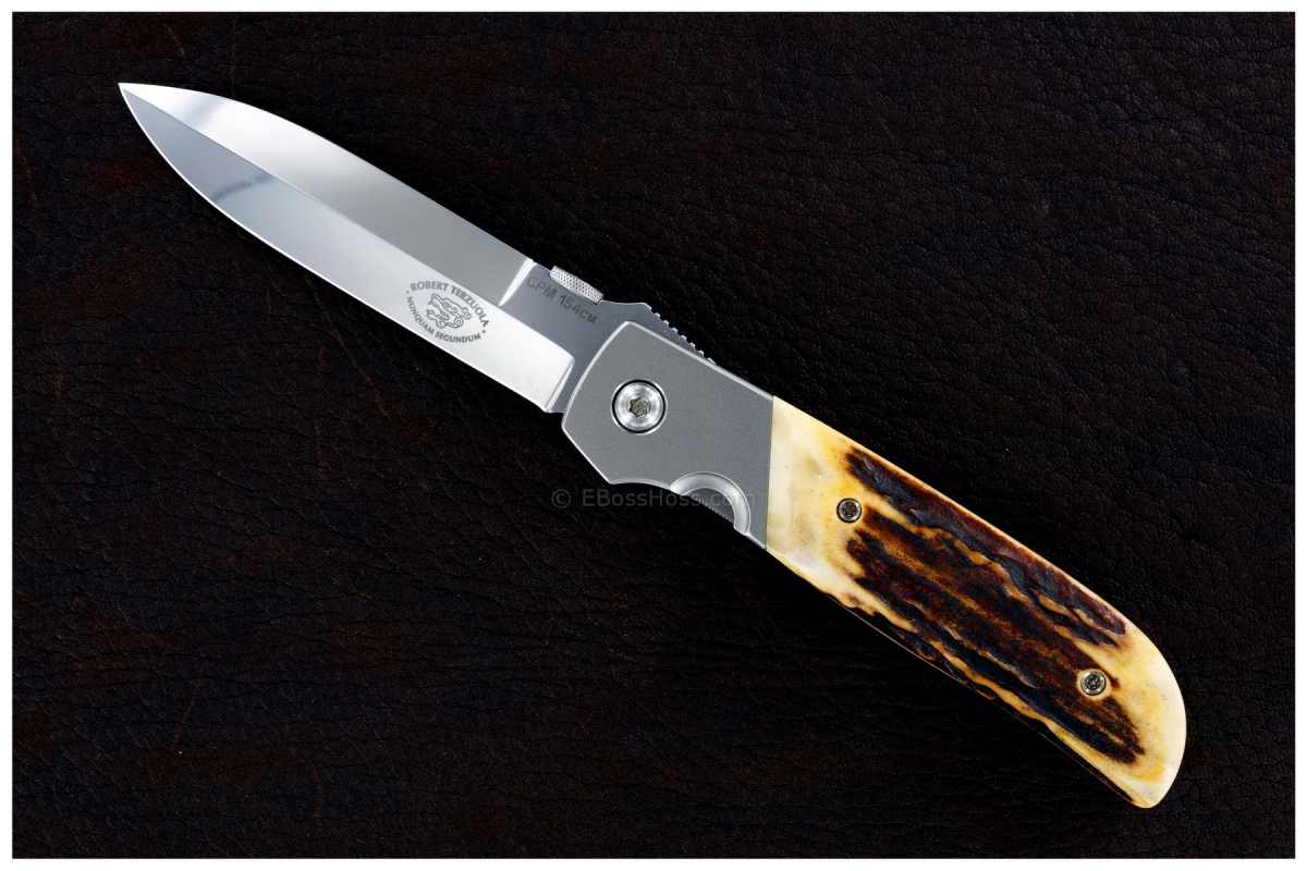 Bob Terzoula Custom Stag TTF-3A