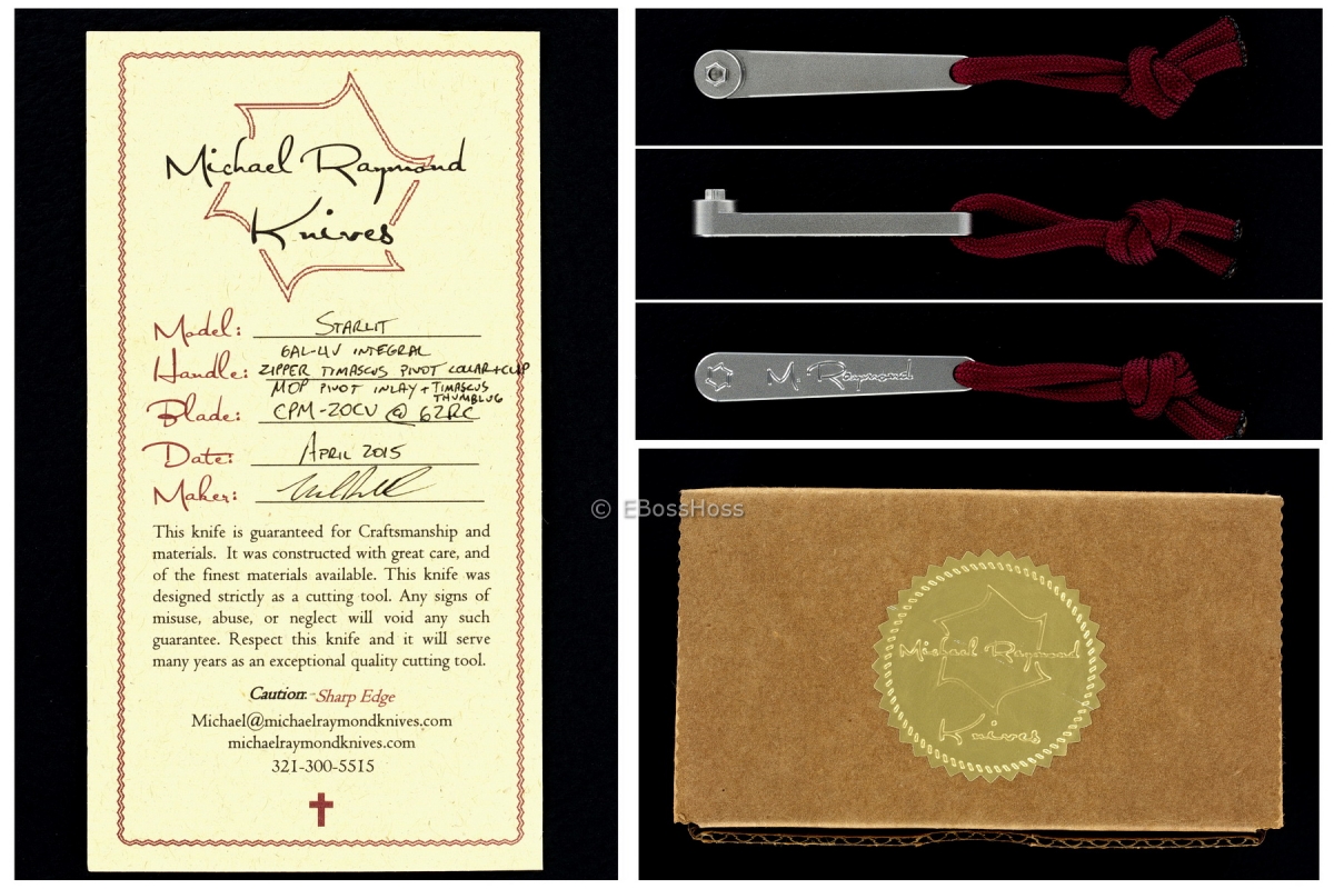 Michael Raymond Custom Deluxe Starlit