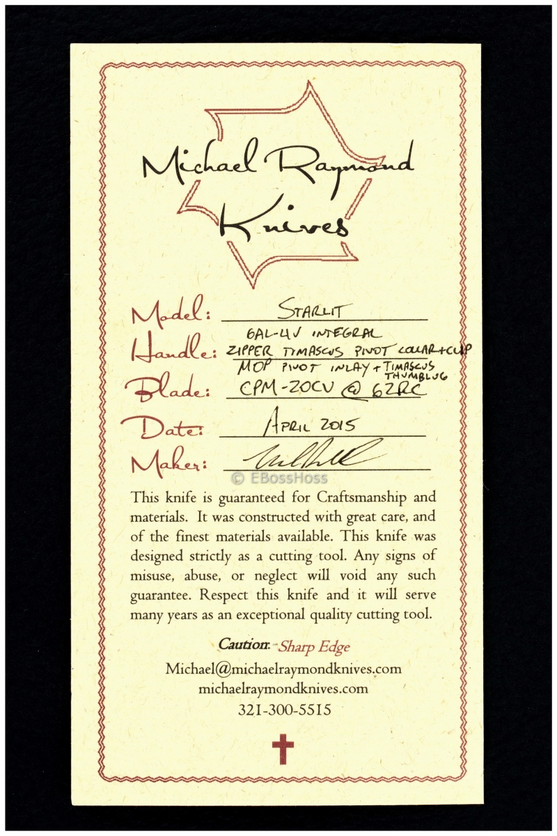 Michael Raymond Custom Deluxe Starlit