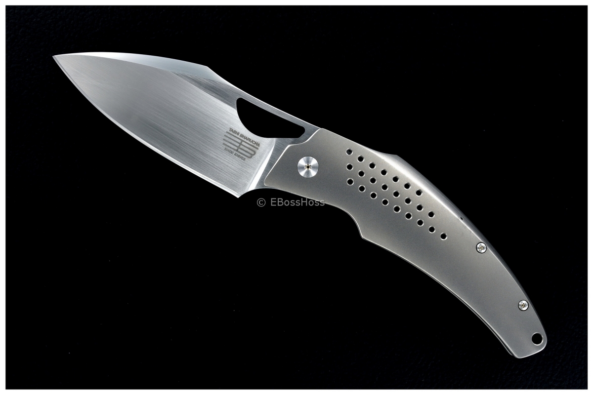 Tashi Bharucha Custom - The Machine