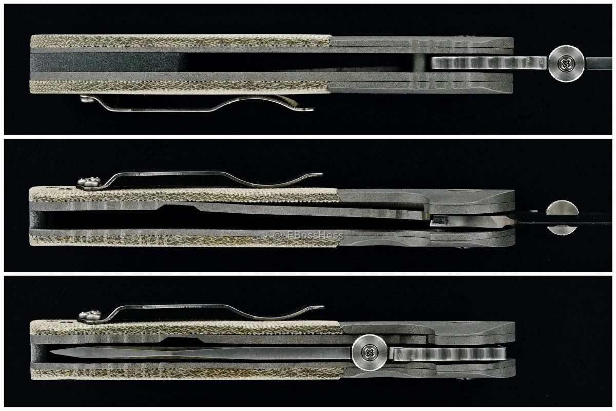 Ernie Emerson Custom Combat Systems Fighter