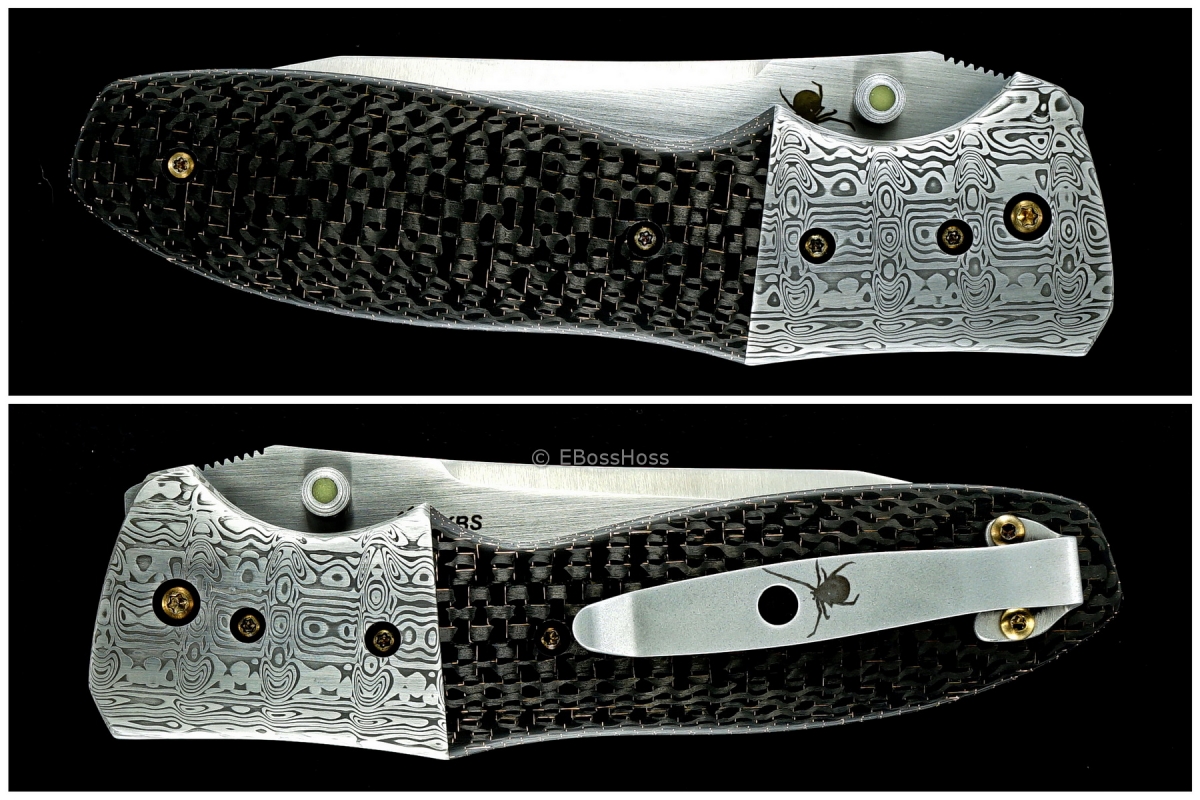 Kirby Lambert Custom Hooligan XT Flicker