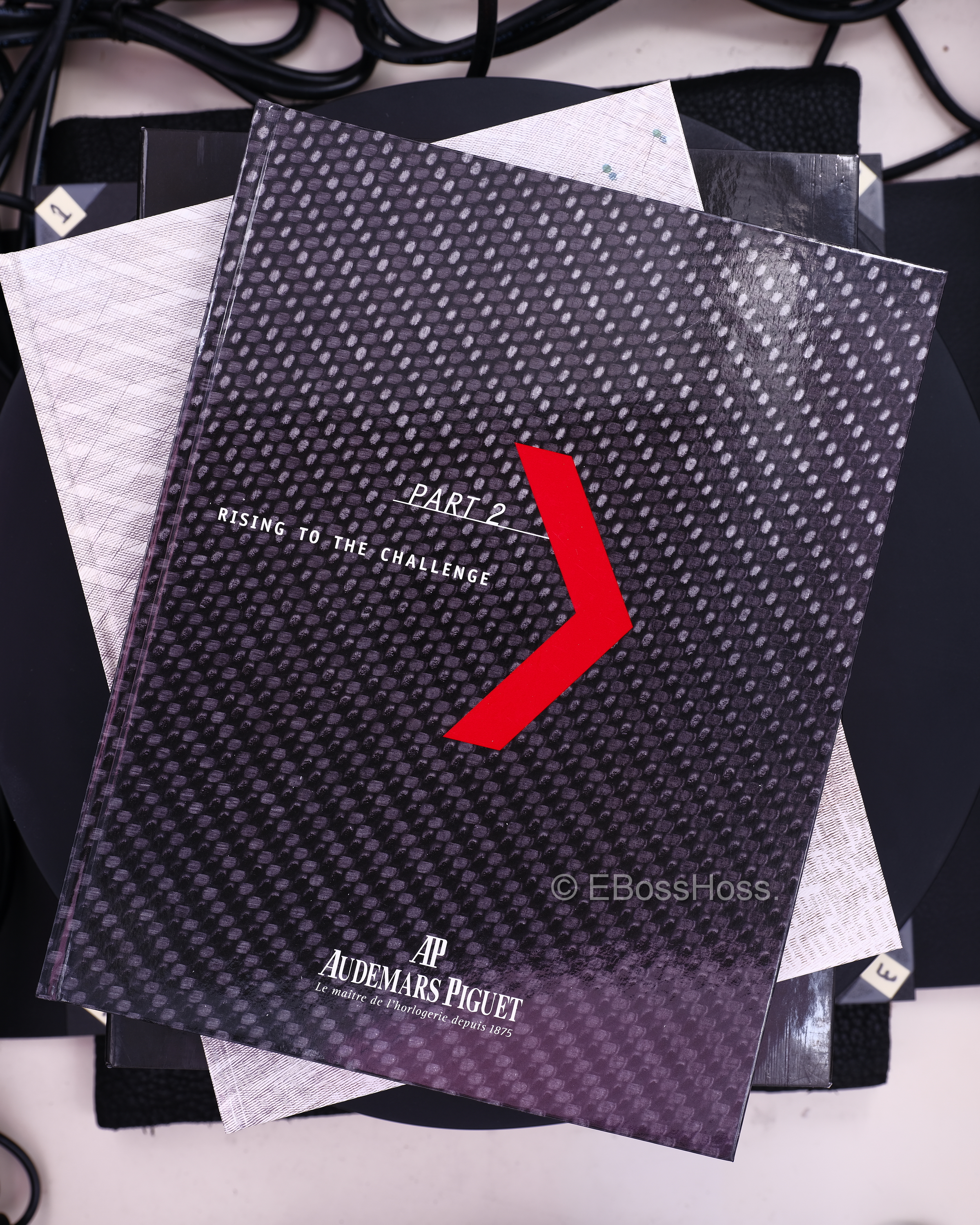 Audemars Piguet (AP) ROO Alinghi Team Chronograph (Platinum) - 26062PT.OO.A002CA.01