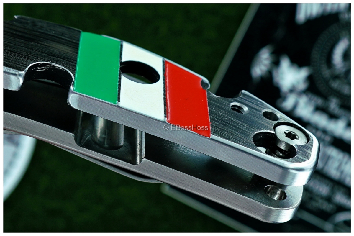 Duane Dwyer (Strider Knives) Custom BBN-M Recurve Pike Folder