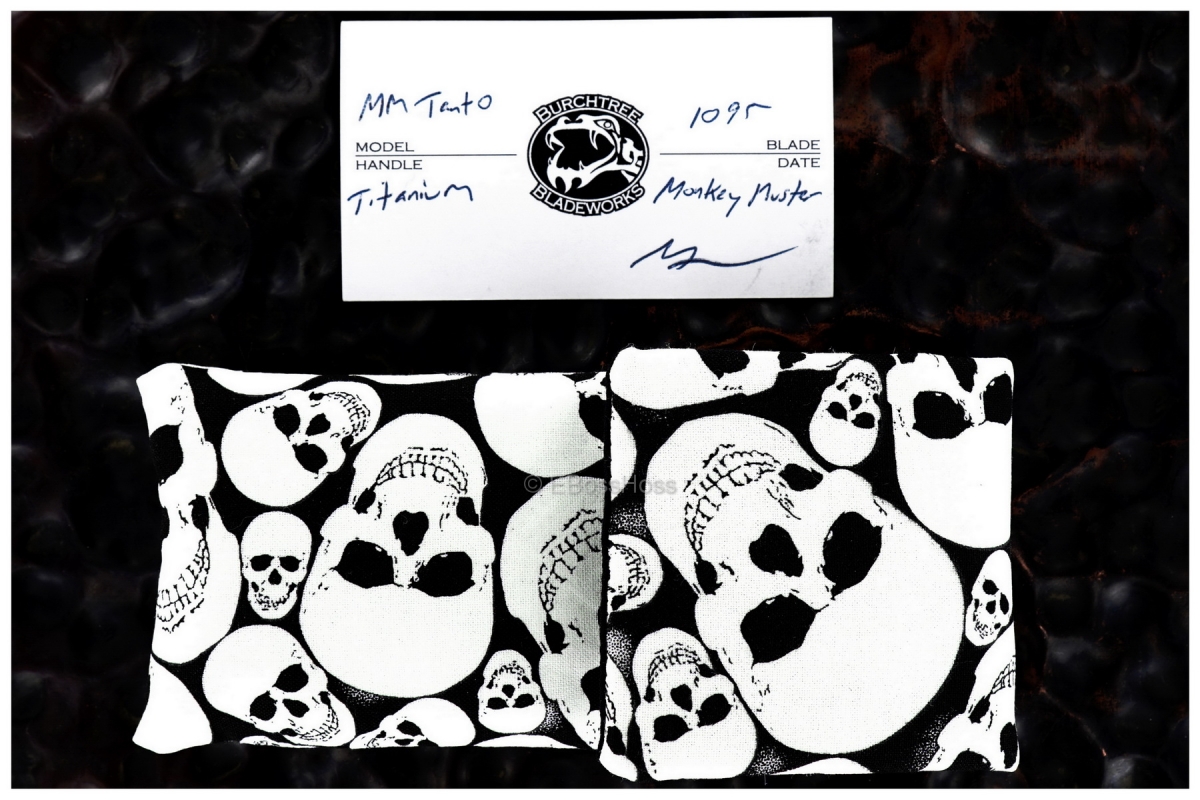 Michael Burch Custom MM Tanto Flipper