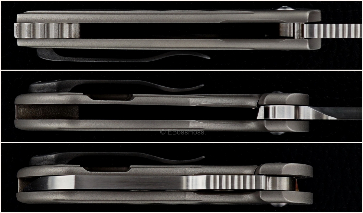 Michael Burch (Burchtree Bladeworks) Custom Chisel-ground Slim Dao Flipper