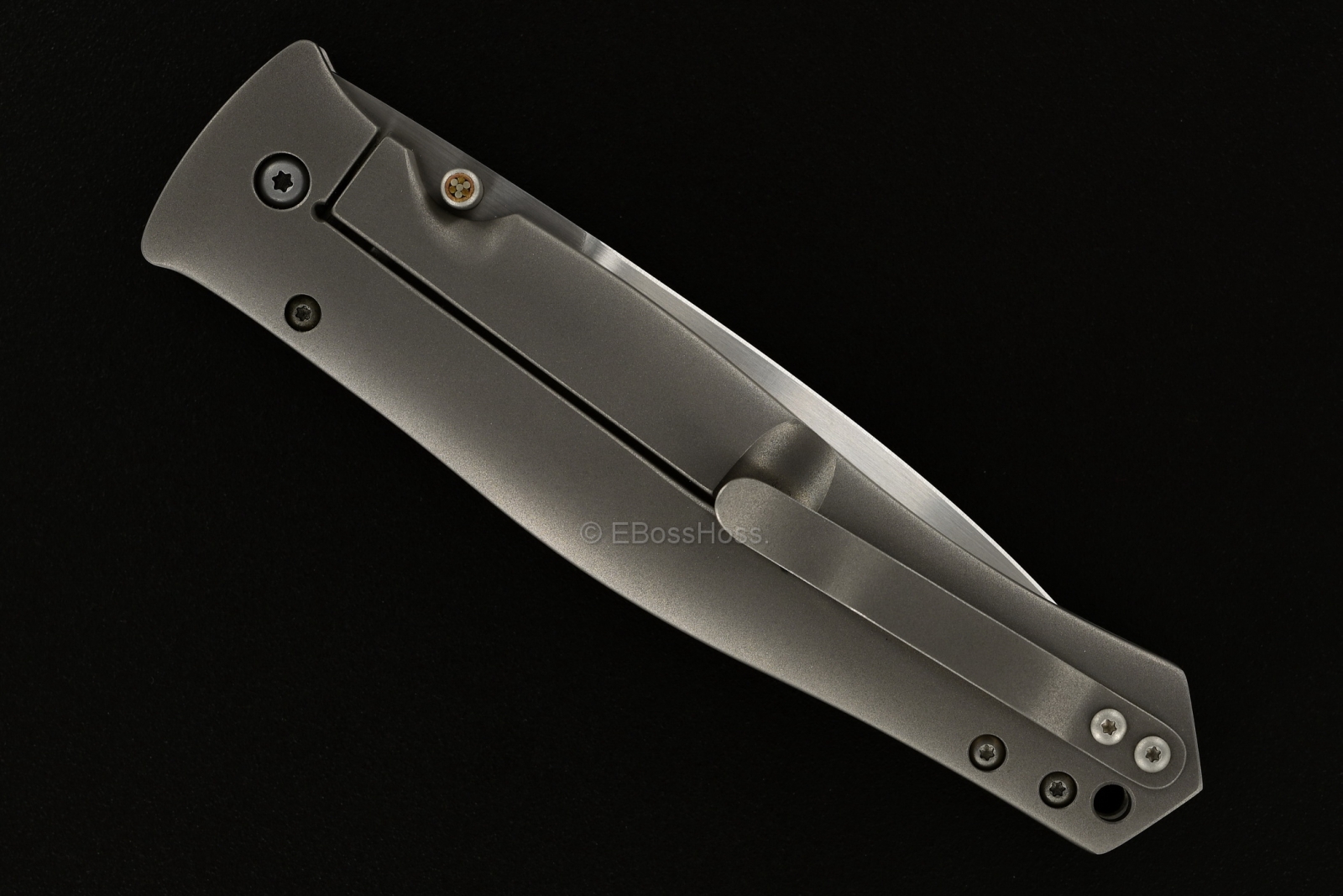 Tom Mayo Custom Dr. Death Framelock Folder