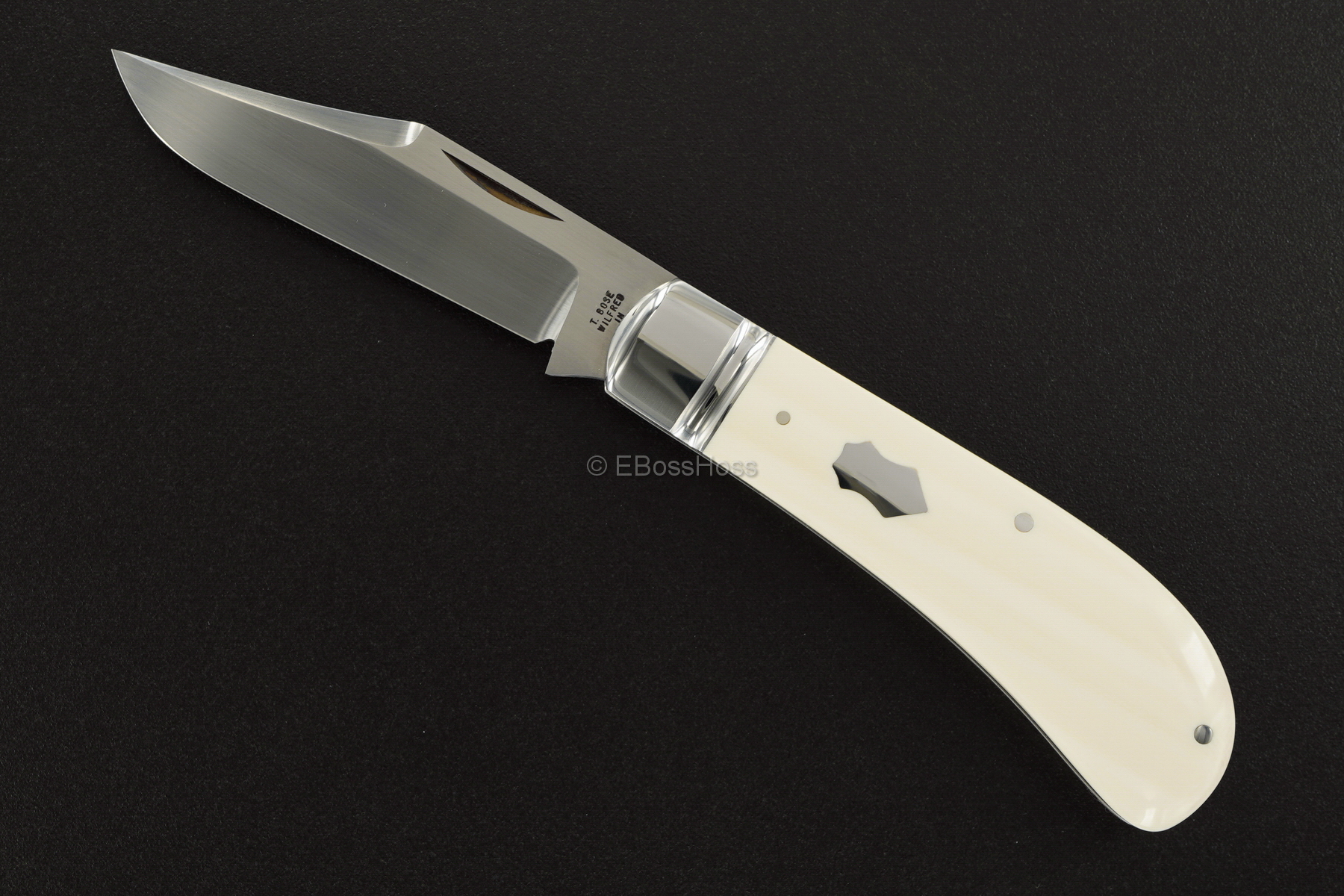 Tony Bose Lanny's Clip