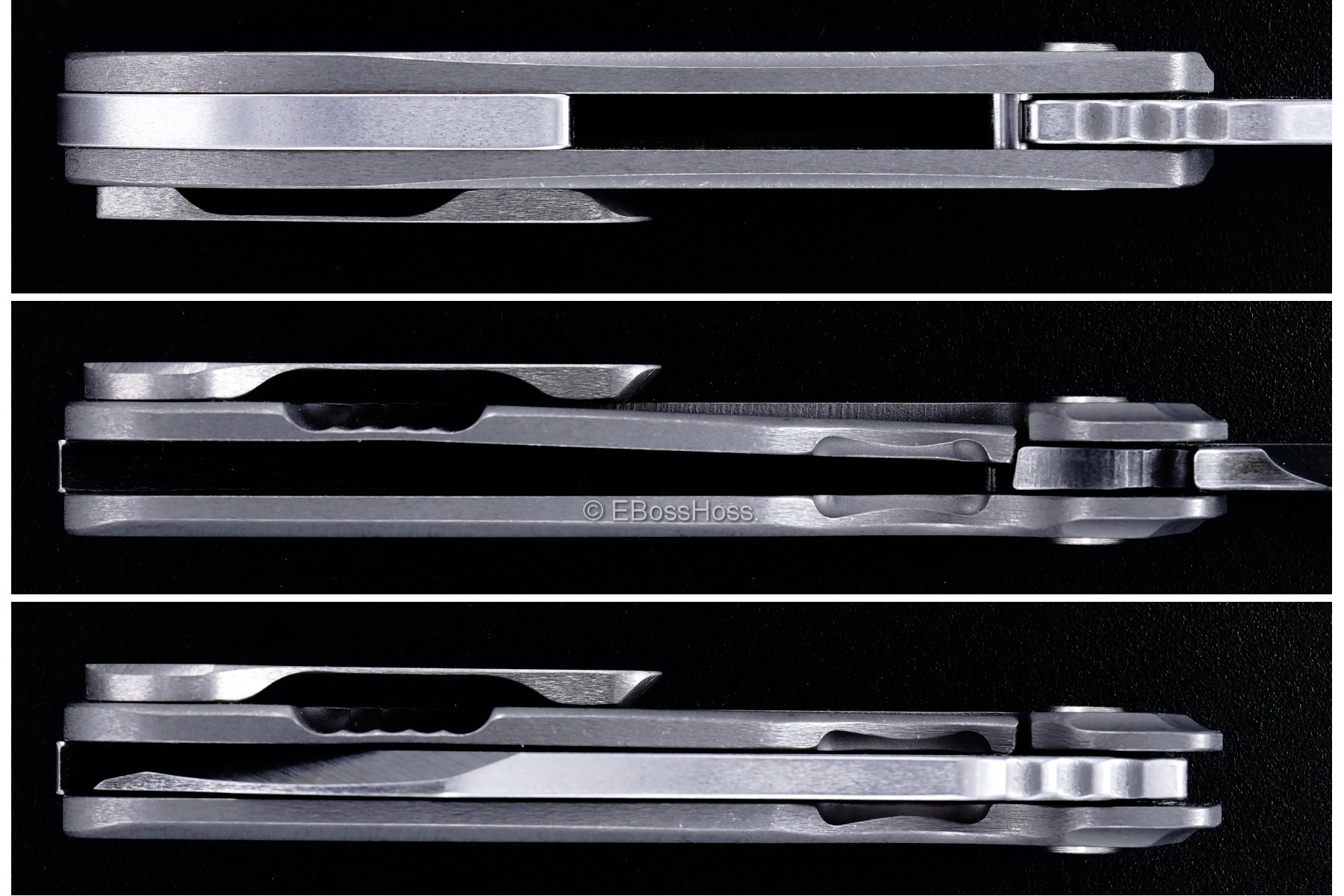 JB Stout / Jeremy Horton Custom Deco Possum Collab