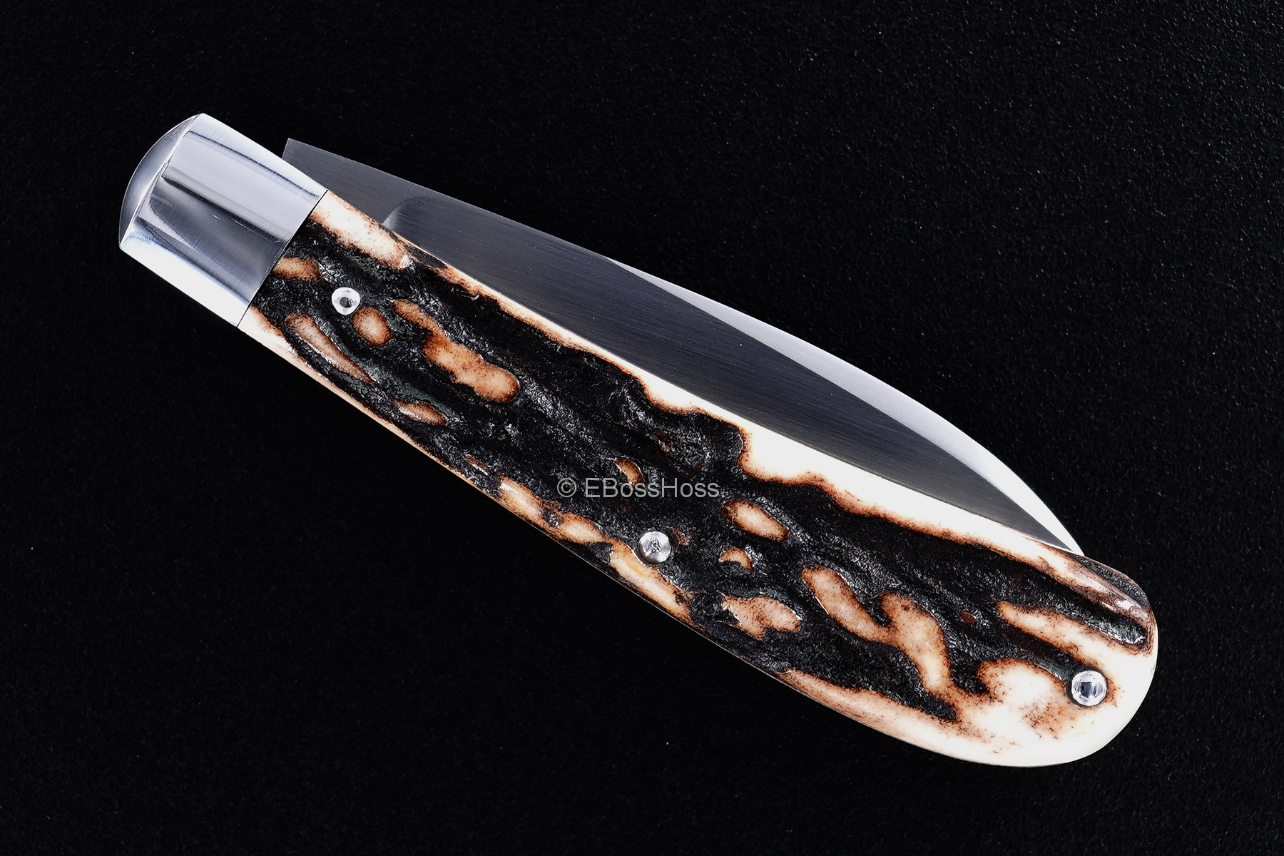 Tony Bose Custom Stag Wharncliffe Trapper