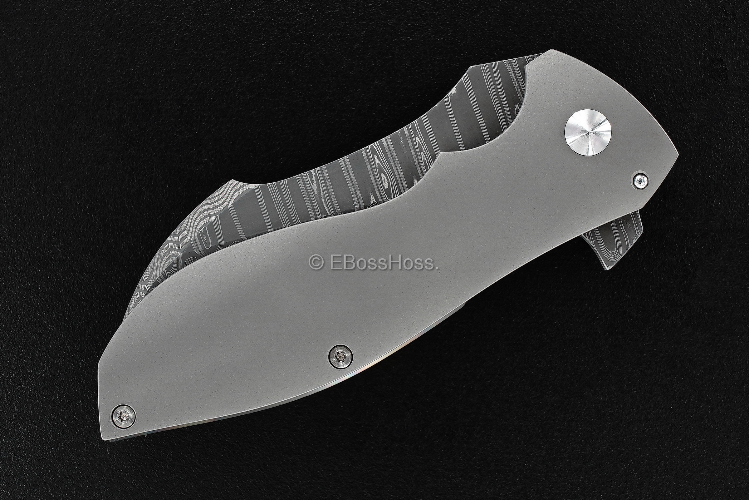 Jeremy Marsh Custom Vanquish Flipper