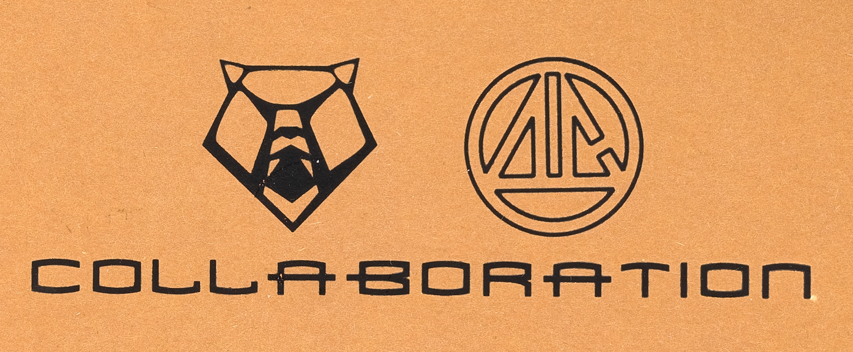 Sergey Shirogorov & Dimetry Sinkevich Collaboration Sigma Flipper