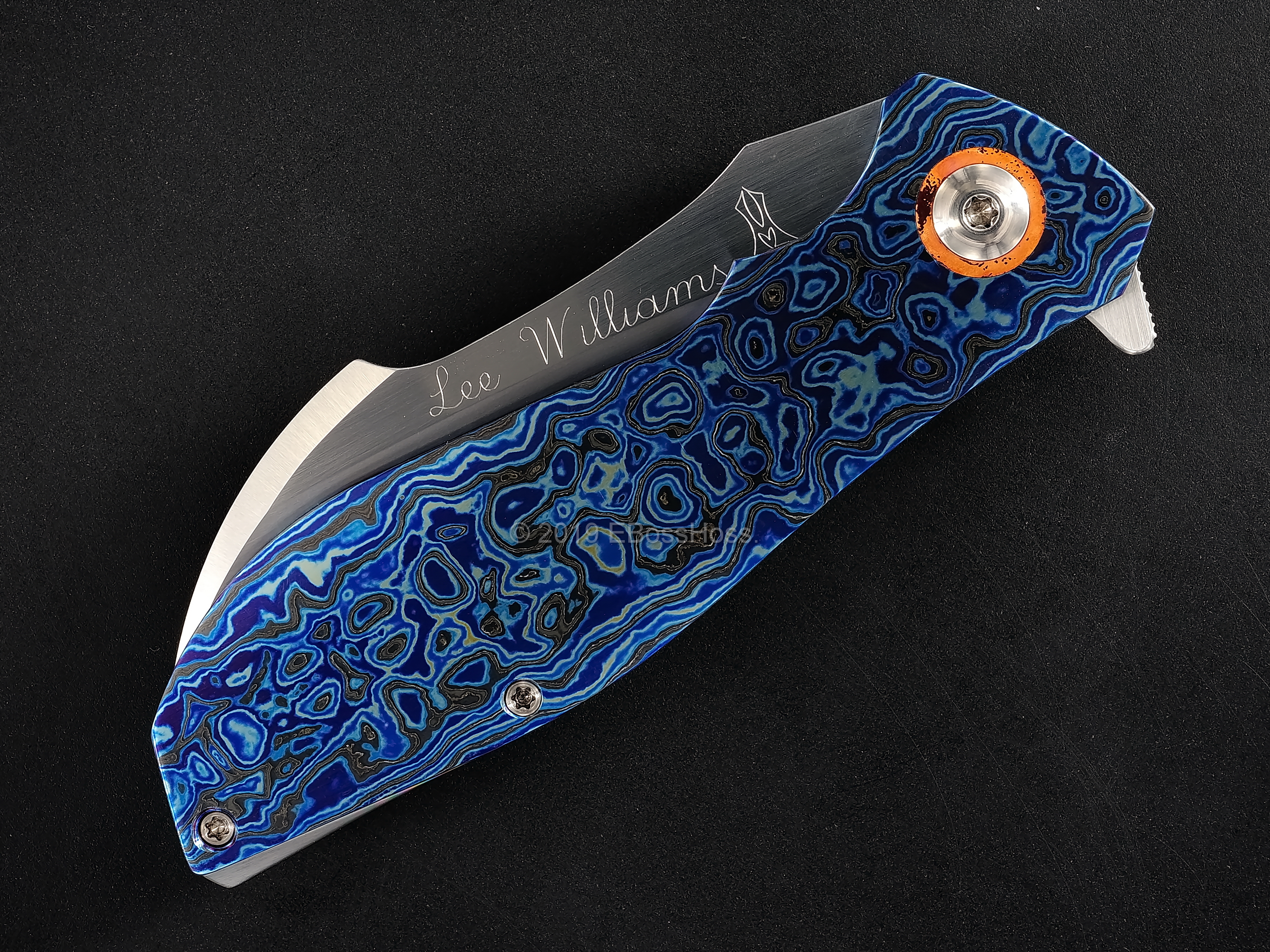 Lee Williams - Jeremy Marsh Collaboration Custom Deluxe Kickstop Vanquish Flipper
