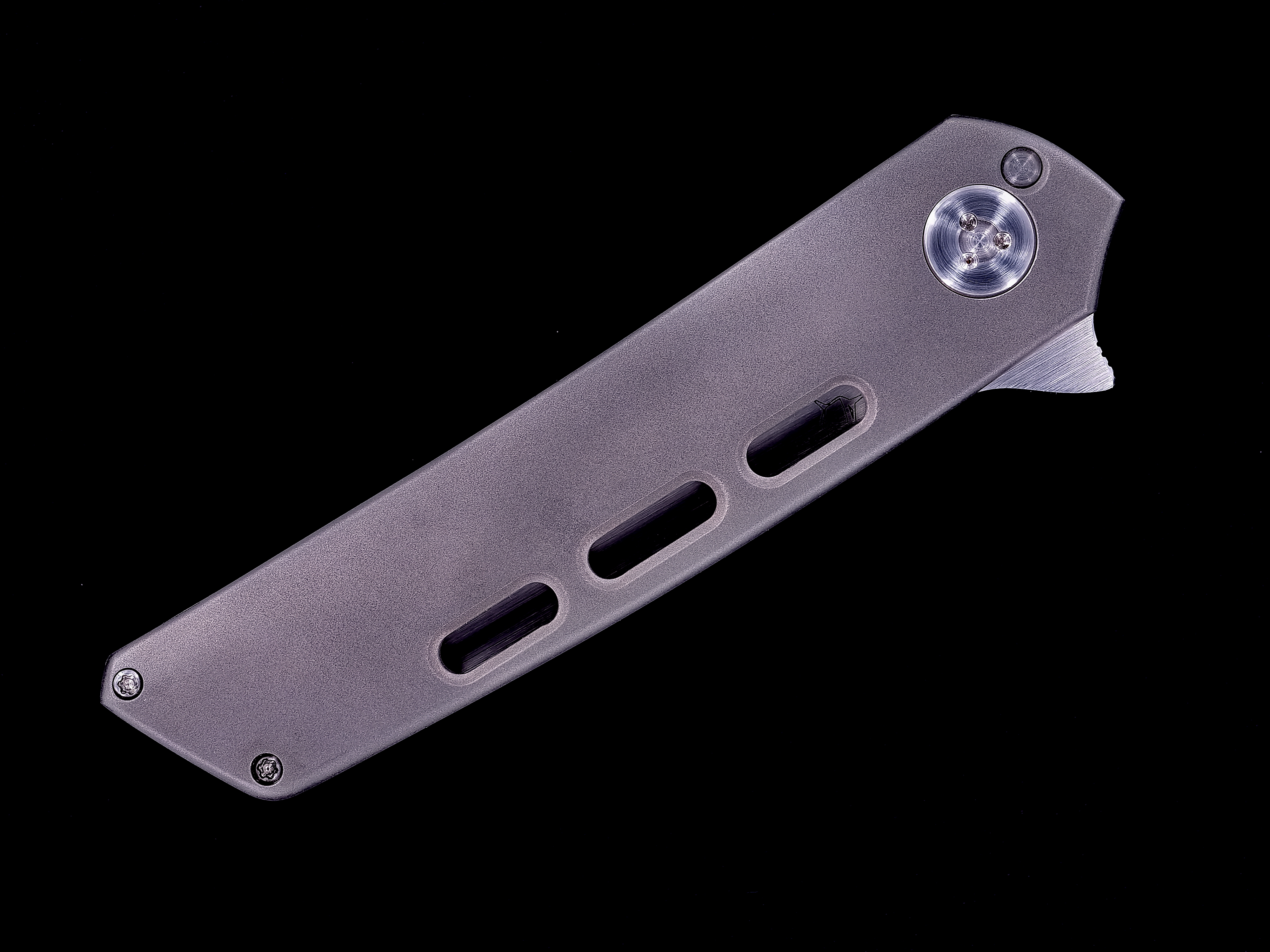 Sharknivco Custom RYU Flipper