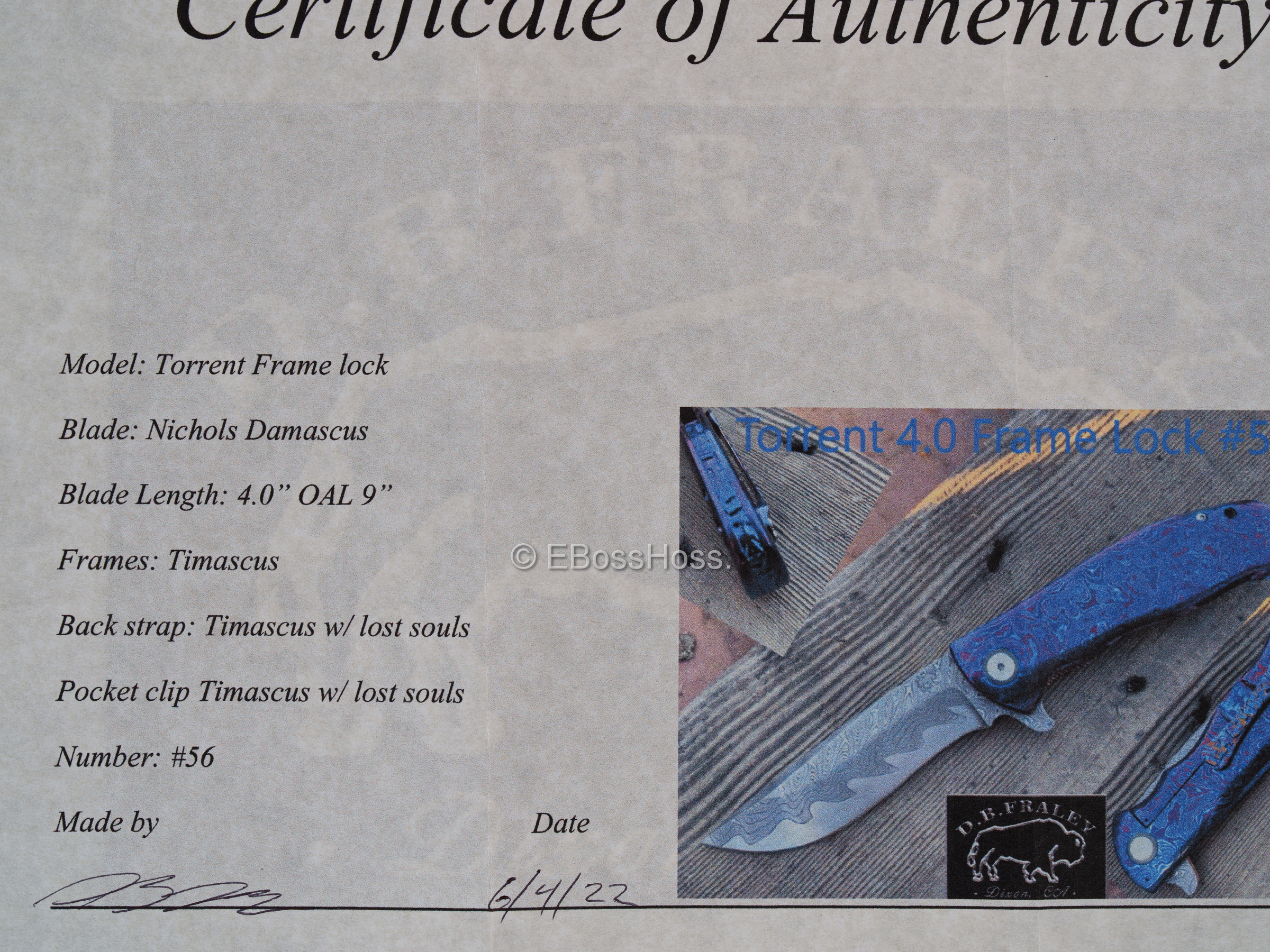 D.B. Fraley Custom Deluxe Torrent 4.0 Flipper